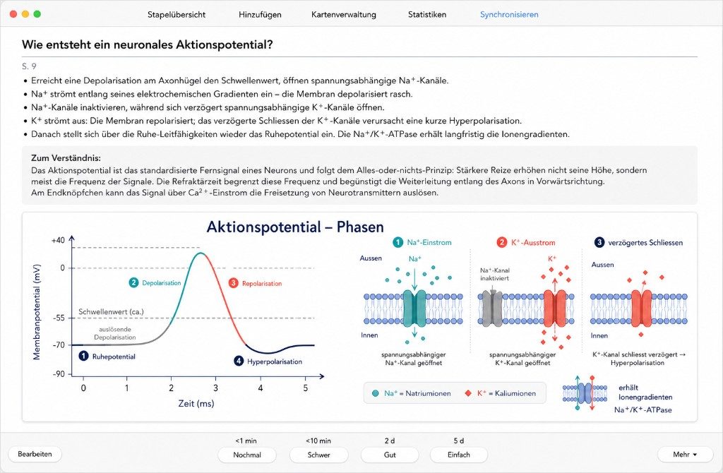 Beispiel einer QuickDecks-Karte aus einer PDF-Vorlesung in Anki, mit Frage, Seitenzahl, Stichpunkten, Verständnissektion und Grafik